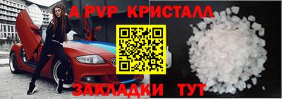 крисы Донской