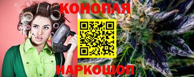 крисы Донской