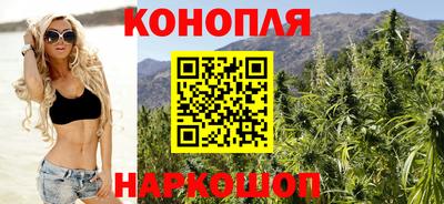 крисы Донской