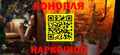 крисы Донской