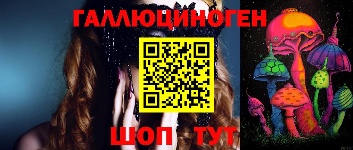 Москва  Псилоцибиновые грибы GOLDEN TEACHER  Вход с VPN 